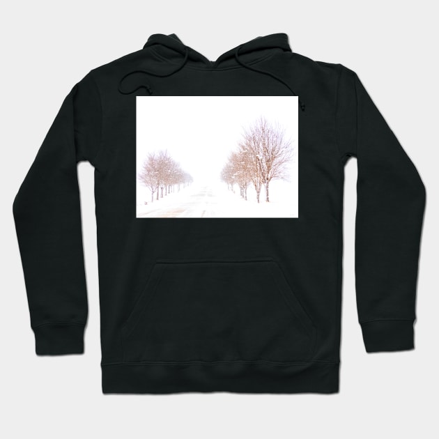 Trees in a Winter Storm Hoodie by BrianPShaw